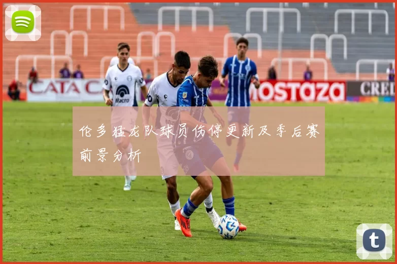 伦多猛龙队球员伤停更新及季后赛前景分析