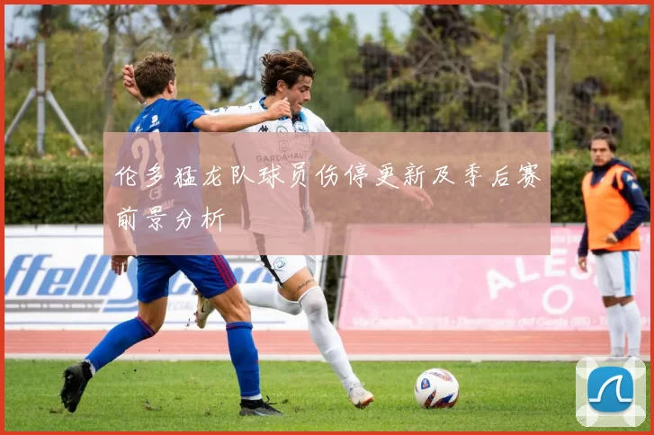 伦多猛龙队球员伤停更新及季后赛前景分析