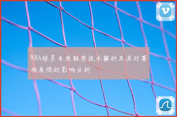 NBA球员专用鞋垫技术解析及其对赛场表现的影响分析